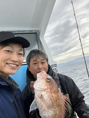 マダイの釣果