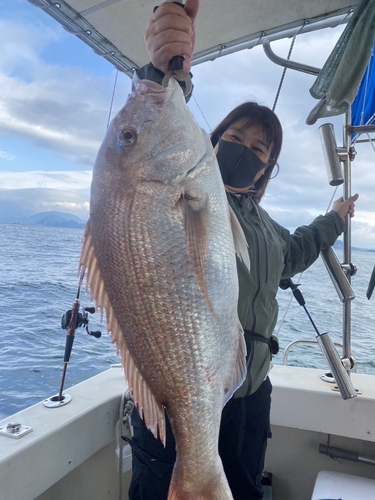 マダイの釣果