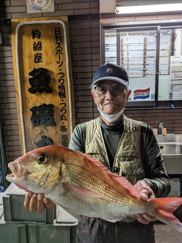 マダイの釣果