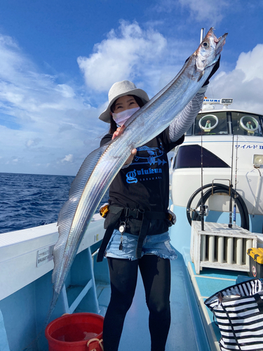 タチウオの釣果