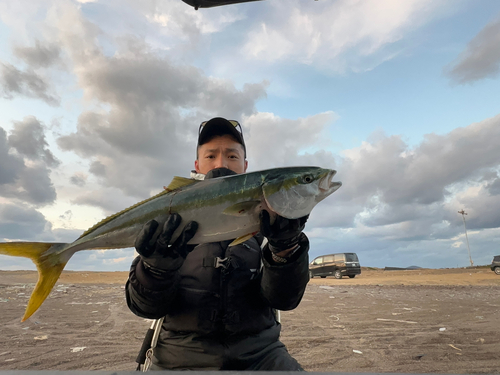 ワラサの釣果