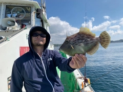 カワハギの釣果