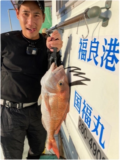 マダイの釣果