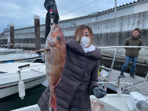 マダイの釣果