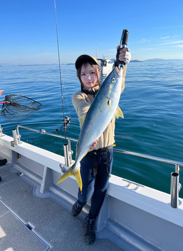 ハマチの釣果