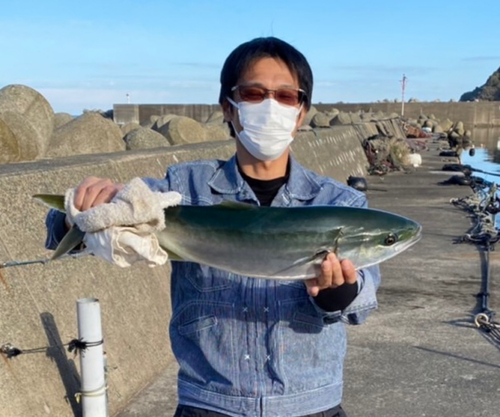 ワラサの釣果