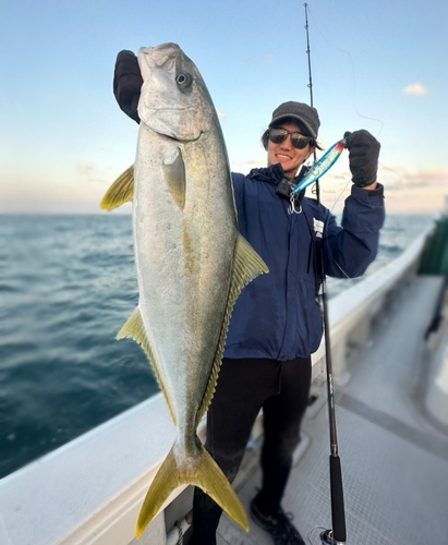 ヒラマサの釣果