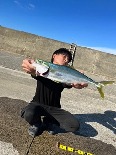 フクラギの釣果