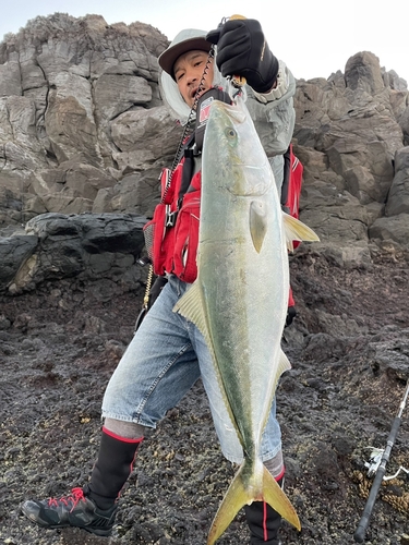 ブリの釣果