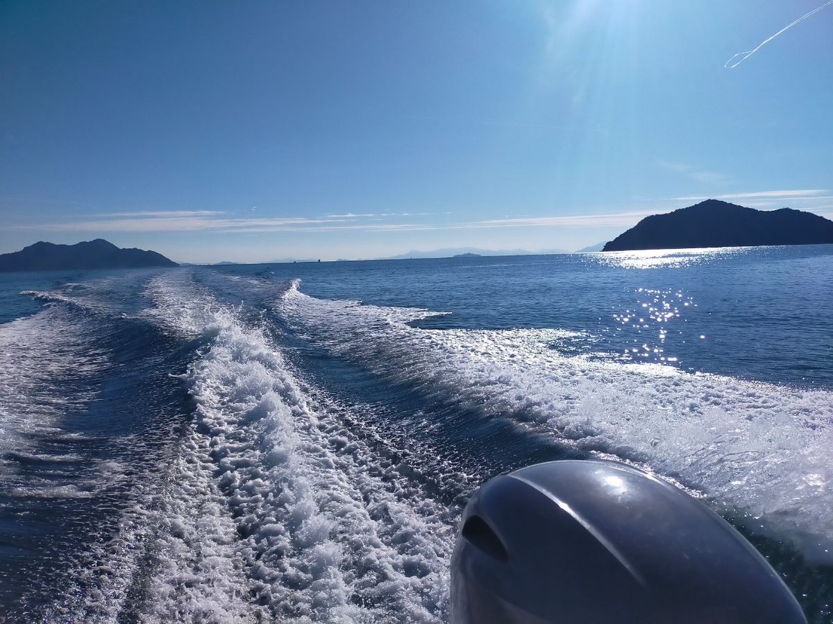 ずんぺいさんの釣果 2枚目の画像