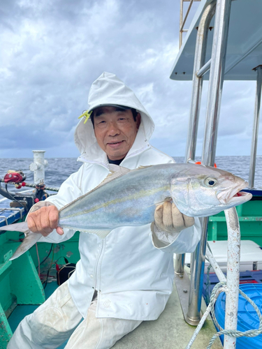 ヒラマサの釣果