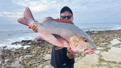 バラフエダイの釣果