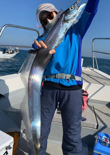 タチウオの釣果