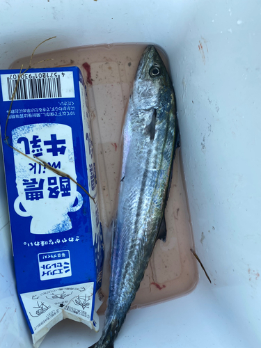 釣果