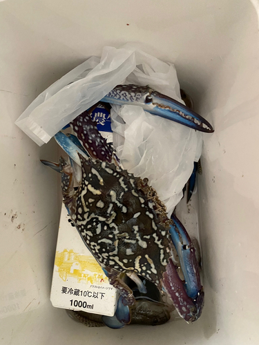 釣果