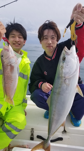 ワラサの釣果