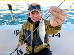 イケカツオの釣果