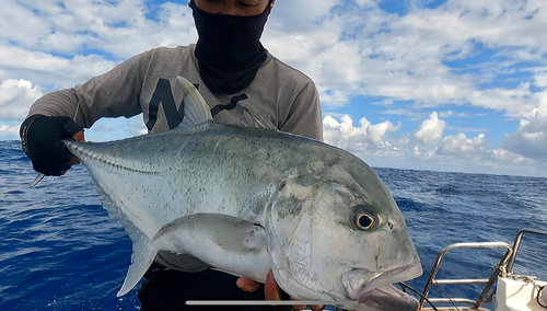 GTの釣果