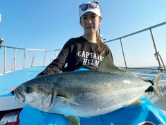 ヒラマサの釣果