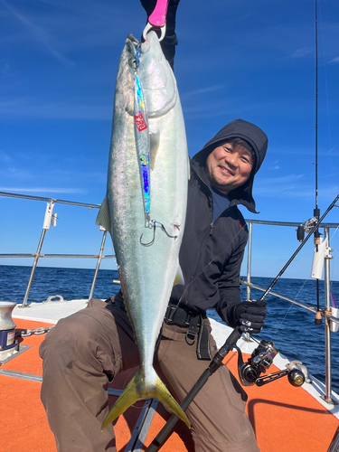 ブリの釣果