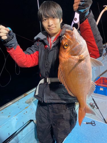 マダイの釣果