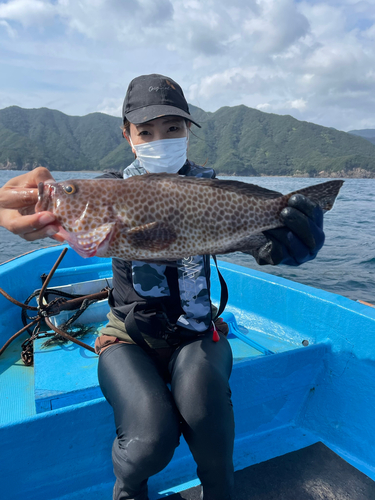 オオモンハタの釣果