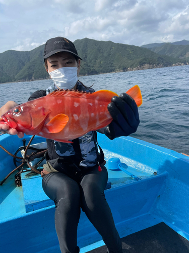 アカハタの釣果