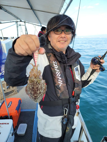 コウイカの釣果