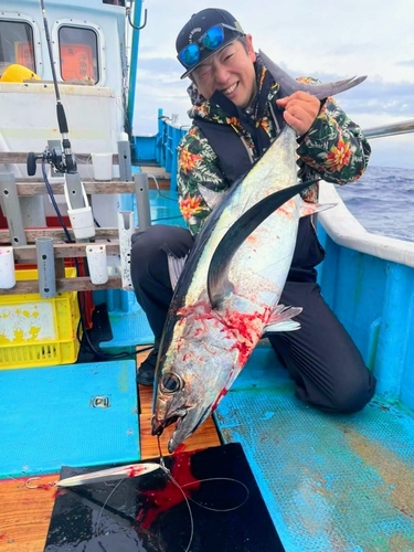 ビンチョウマグロの釣果