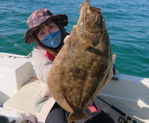 ヒラメの釣果