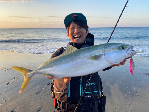 イナダの釣果