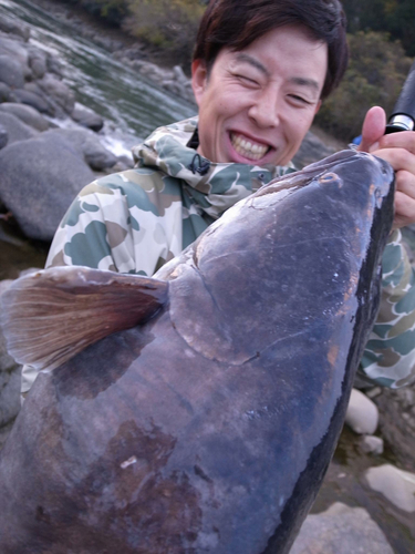 ビワコオオナマズの釣果