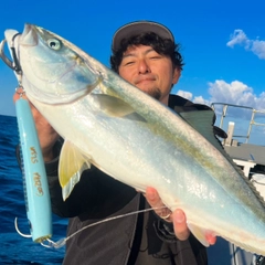 ヒラマサの釣果