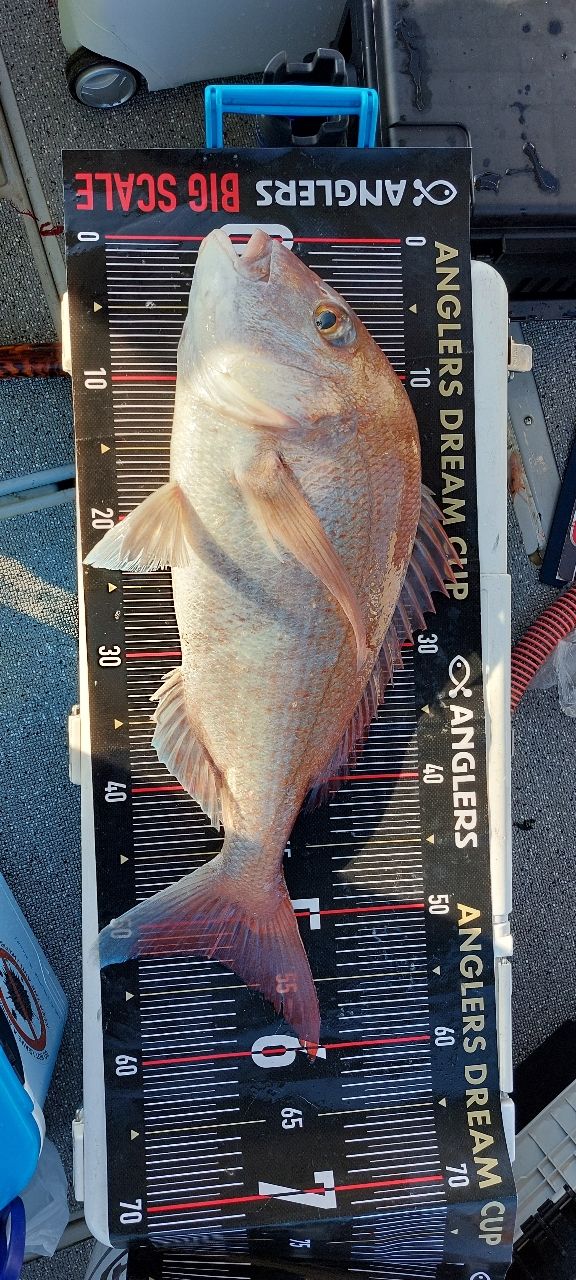 アングラー39637011さんの釣果 3枚目の画像