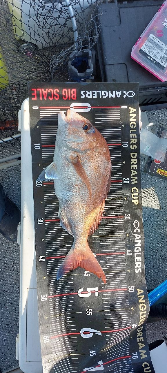アングラー39637011さんの釣果 3枚目の画像