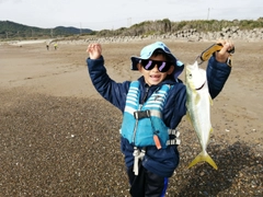 イナダの釣果