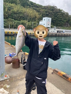 ネリゴの釣果