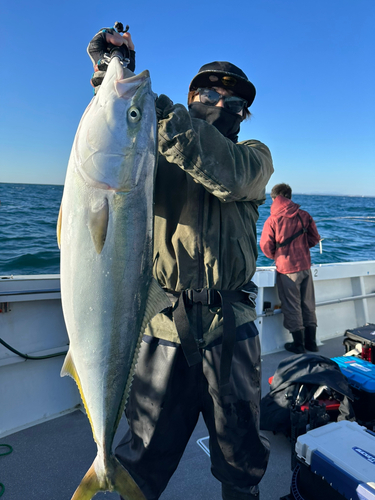 ブリの釣果