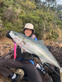 ブリの釣果