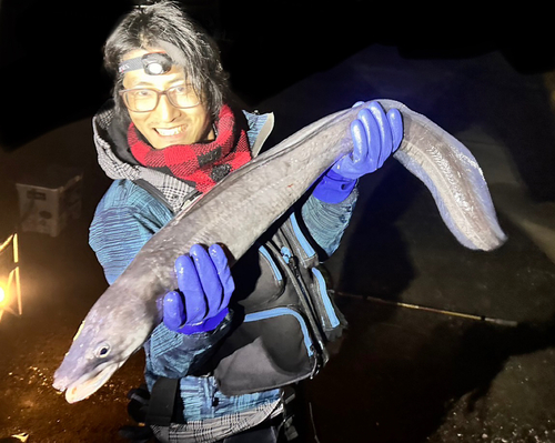 ダイナンアナゴの釣果