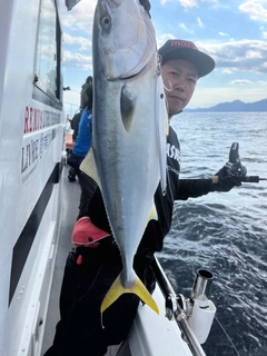 ハマチの釣果