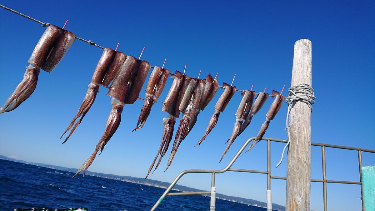 女性アングラーさんの釣果 2枚目の画像