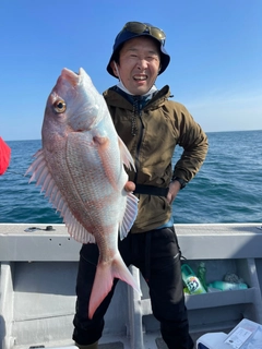 マダイの釣果