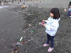 シロギスの釣果