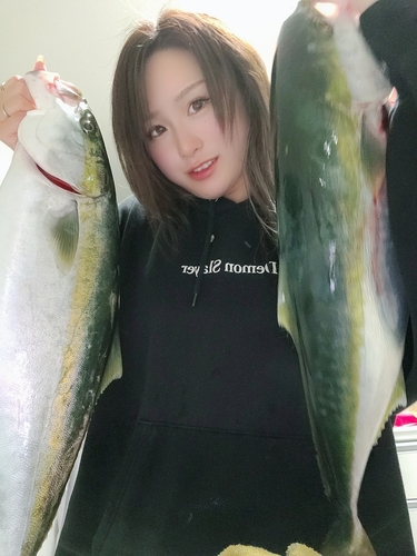 ヤズの釣果