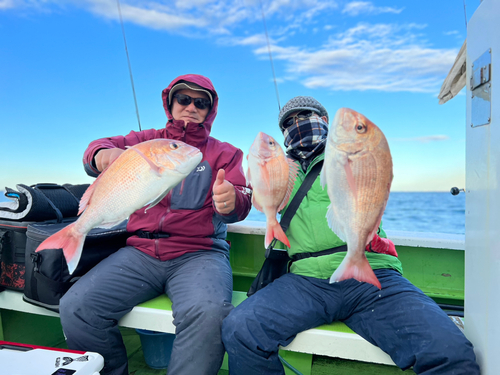 マダイの釣果