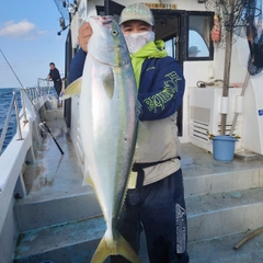 ブリの釣果