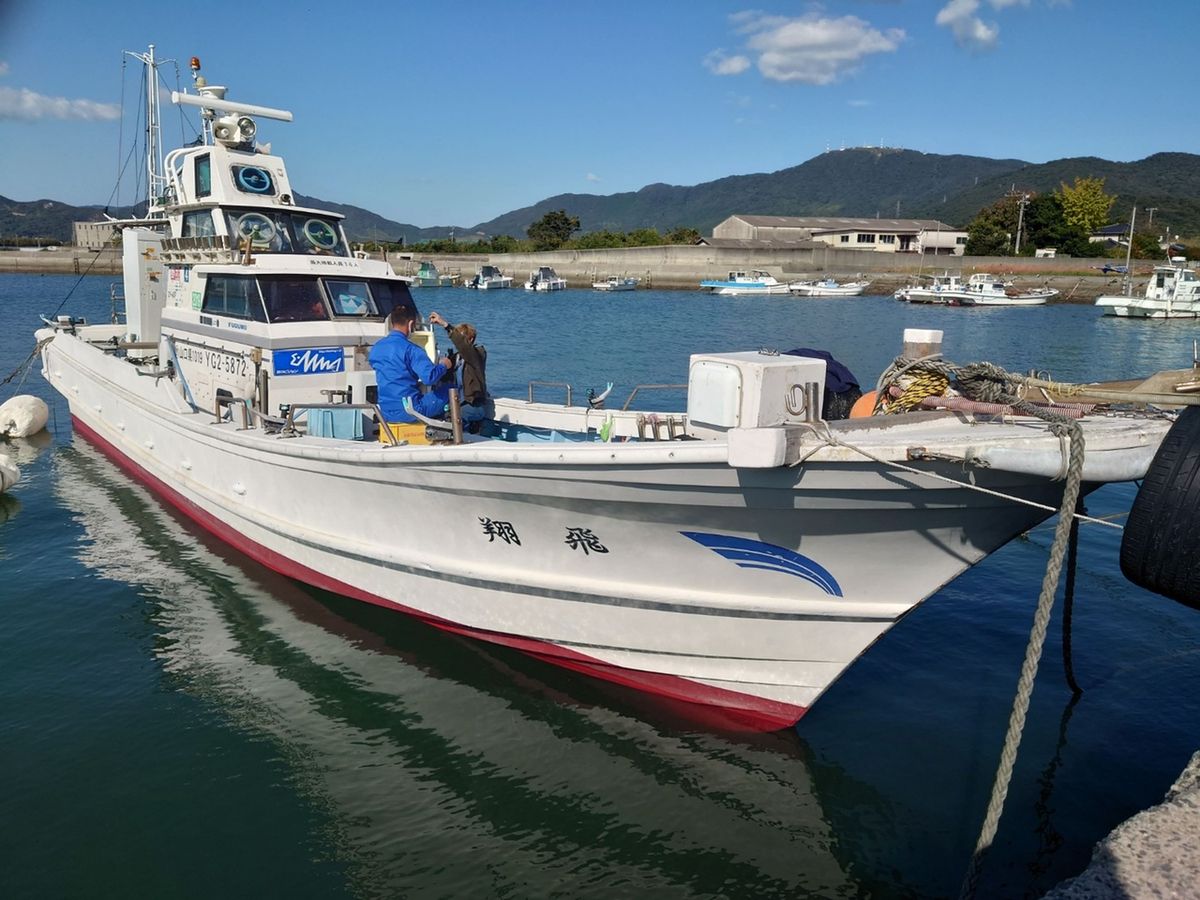 ミーハー釣り日誌さんの釣果 3枚目の画像