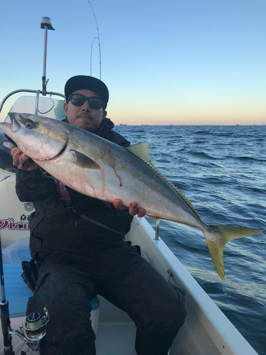 ブリの釣果