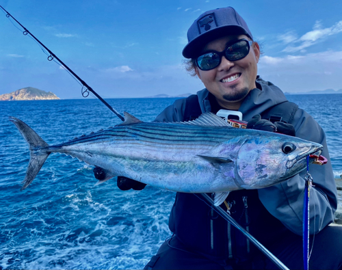 ハガツオの釣果